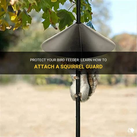 Puts on guard .